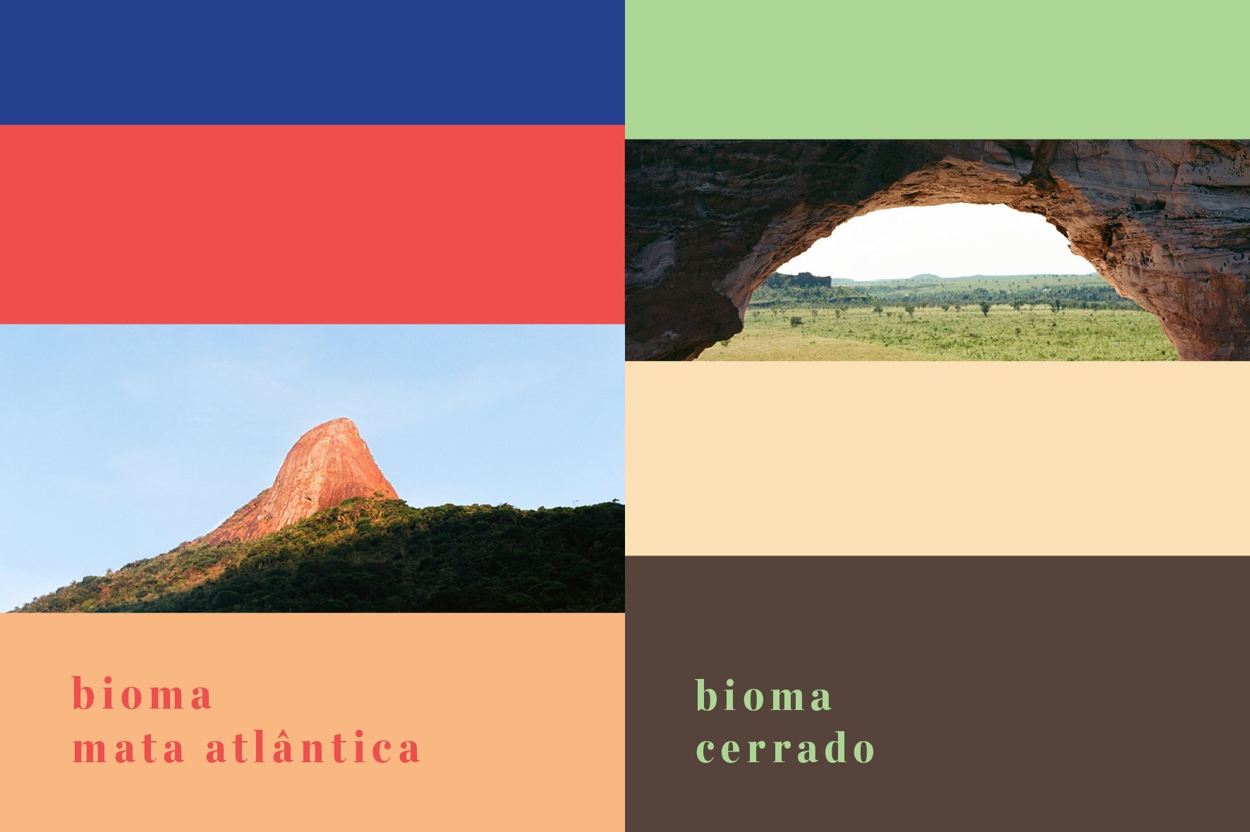 Projeto do Associado | Estúdio Bogotá